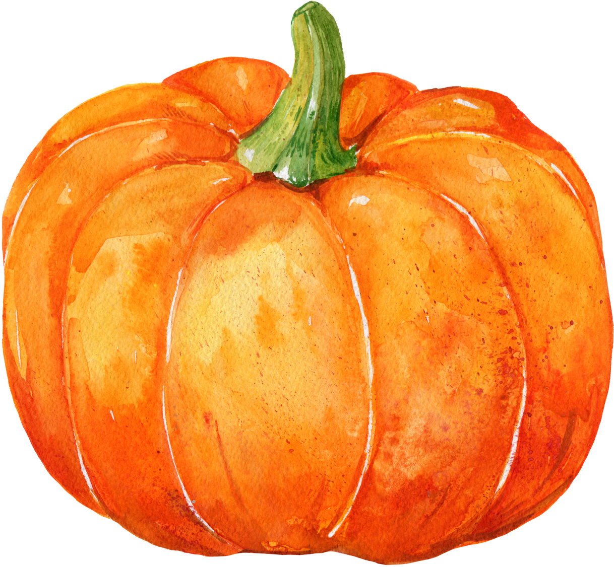 Pumpkin Watercolor Hand Painting